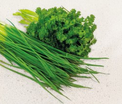 parsley_chive.jpg